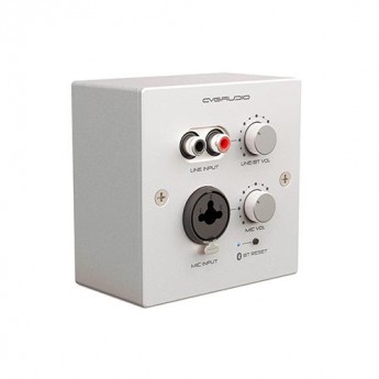 Регуляторы громкости для акустических систем CVGAUDIO PW-IN/W 102488