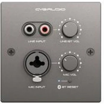 Регуляторы громкости для акустических систем CVGAUDIO PW-IN/BL 102489